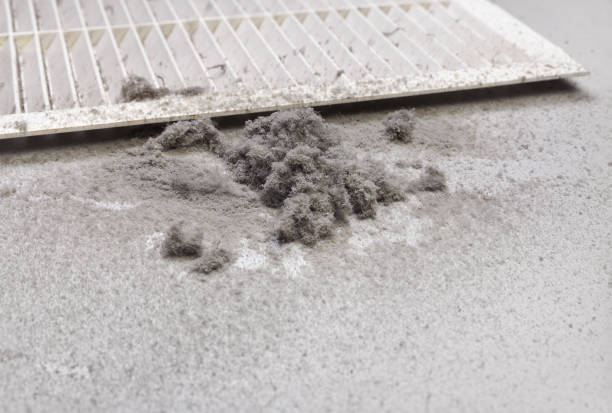 Best Air Duct Cleaning Near Me  in Streamwood, IL